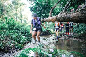 BIB: 
                            <button type="button" onclick="openModal(25445552)" class="btn btn-primary btn-sm float-right btn-popup" data-toggle="modal" data-target=".modal-high-quality">
                        <i class="fas fa-shopping-cart"></i> Add to Cart
                    </button>
                                            <button type="button" onclick="isThisMe(25445552, true)" class="btn btn-success btn-sm float-right btn-popup btn-isme hidden" data-toggle="tooltip" data-placement="bottom" title="นี่คือรูปของคุณใช่ไหม คลิกที่นี่เพื่อเอาเข้าอัลบั้ม">
                        <i class="fas fa-plus"></i> Add to album
                    </button>
                    <button type="button" onclick="isThisMe(25445552, false)" class="btn btn-warning btn-sm float-right btn-popup btn-isnotme hidden">
                        <i class="fas fa-ban"></i> Remove from album
                    </button>